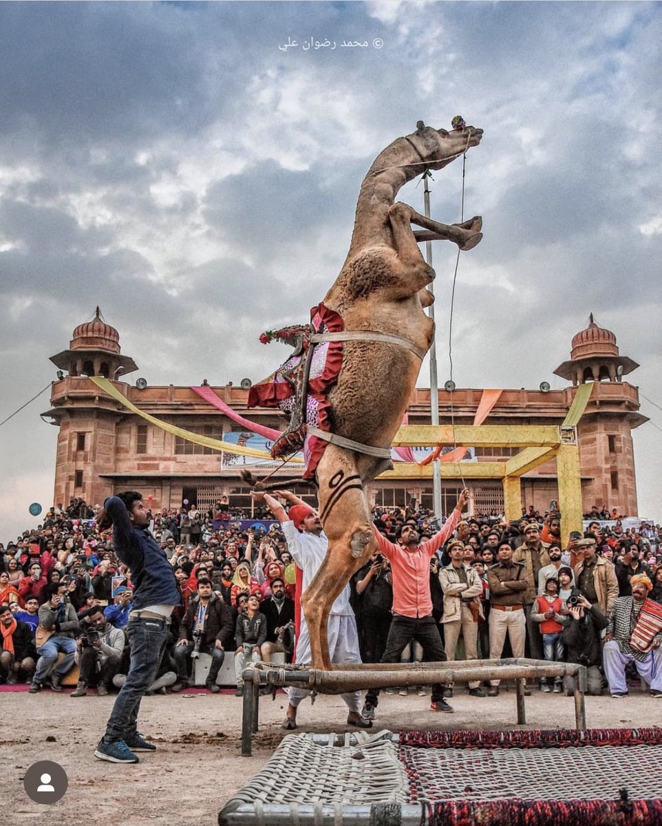 RajasthanBeats tweet media