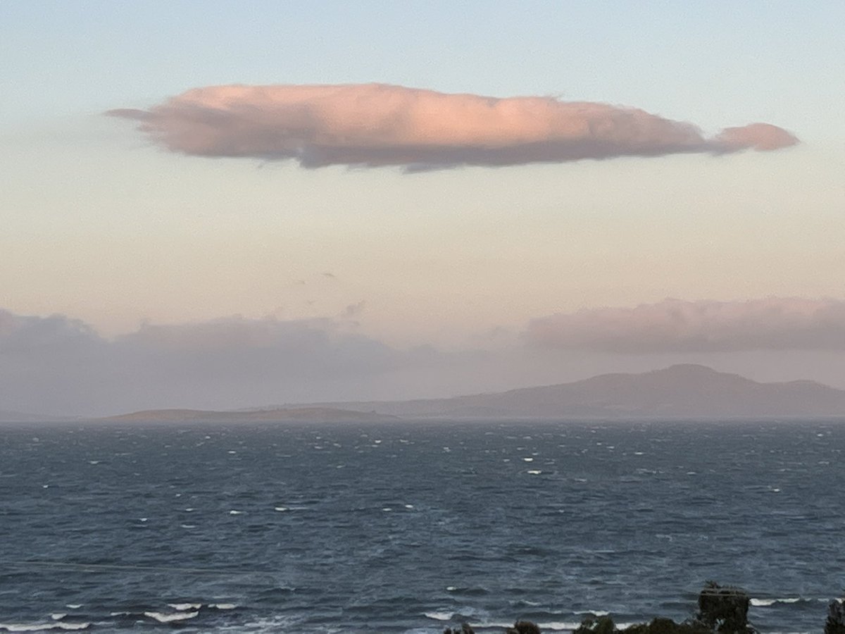 Stephengissy's tweet photo. White bellied Sea Eagles soaring a prevailing Northeasterly at #tasmanpeninsula #saltwaterriver with the Seagulls. Making flying look easy #gliding https://t.co/EomO046CSU