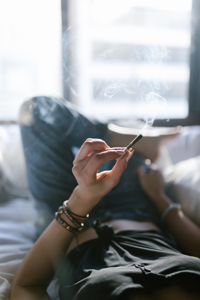 Have a blissful and magical weekend with king-style blunts. 😎😎🌬️🌬️
#cbdcommunity #stoner #hempheals #marijuana #hemplife #hightimes #thc #cbdhealing #cbd #hempflower #cbdanxiety #cannabiscommunity #weed #cbdhelps #hempcbd #cbdcures #delta8hempflower #cannabisculture