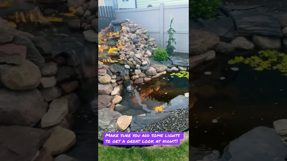 AllForGardening's tweet image. Light up the night with your falls!
 
#Backyard #BackyardDecor #BackyardDiy #BackyardGarden
 
allforgardening.com/397153/light-u…