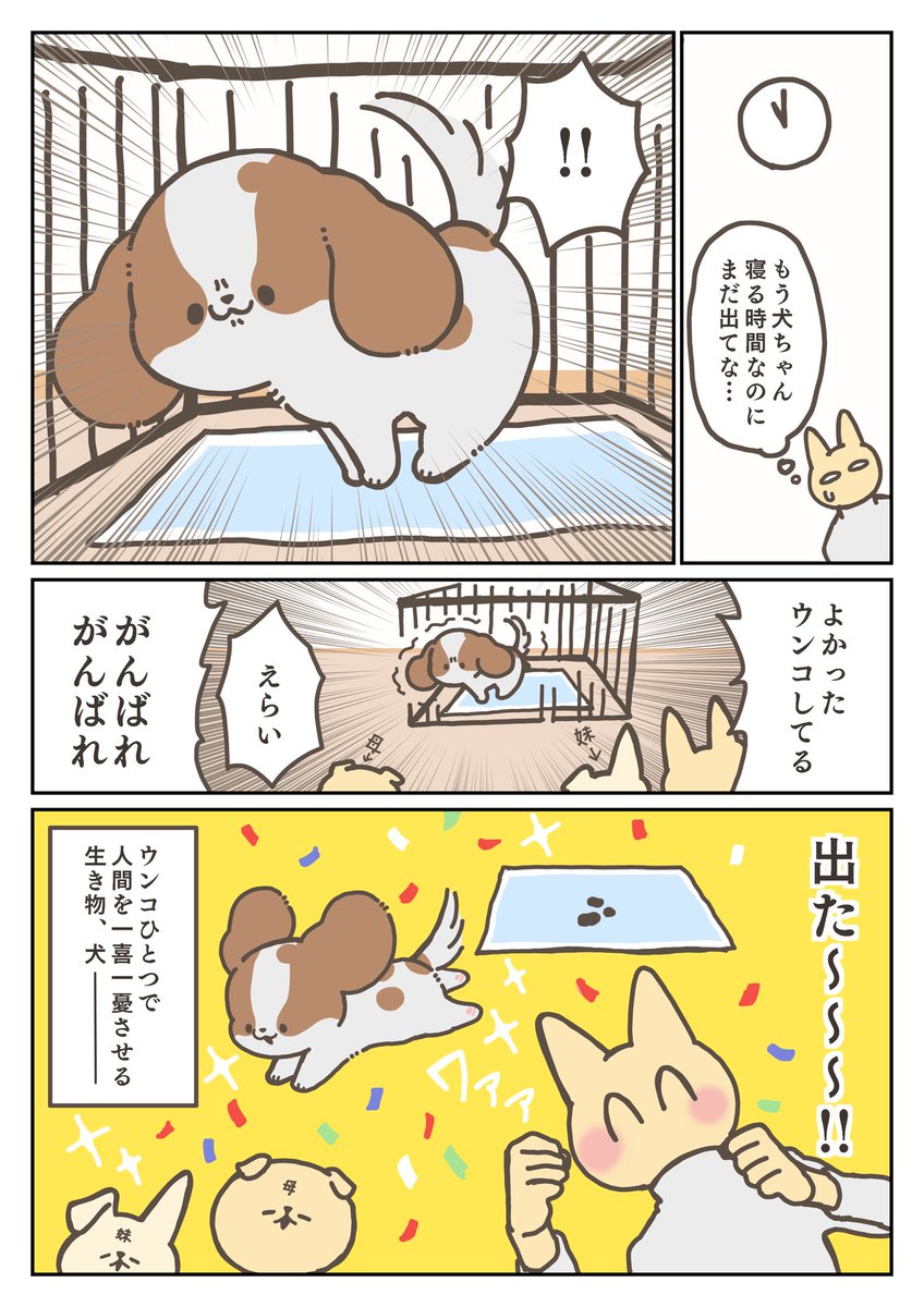 犬日記 犬が元気なウンコすると嬉しいという話 