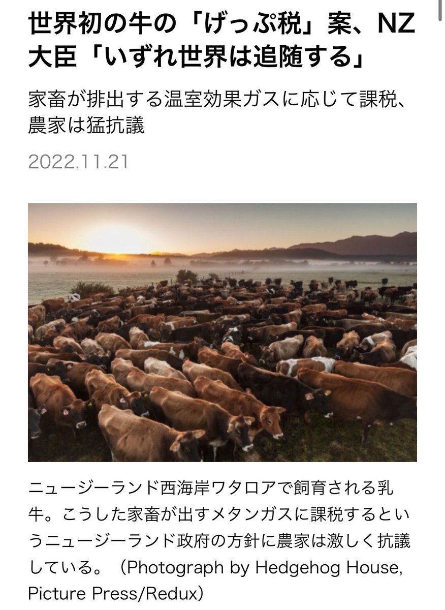 super567bot's tweet photo. ニュージーランドに引っ越すことした。牛のゲップに税金がかかるようになると知ったからだ。
税務署内の、牛のゲップの回数を数える仕事に就くことにした。スーパーゲップカウンターズの一員として、私を応援してほしい。 #Sgcs https://t.co/hspJ9DAesZ
