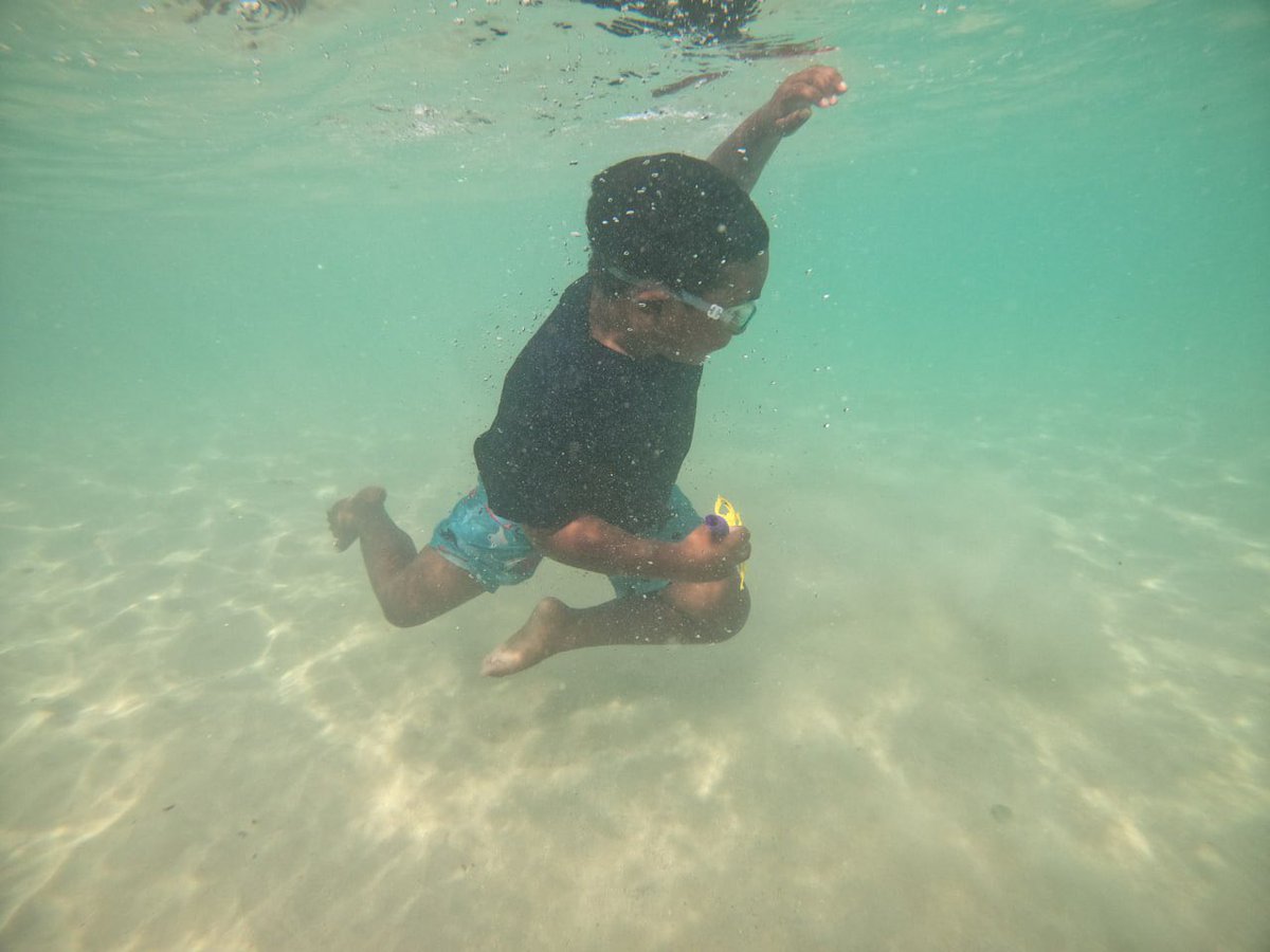 islandboyalman's tweet photo. One upon a time #stingray and a #turtles came to #islandboyalman .. and the story continues… #saveme #savemyislandnation #savemyworld #maldives #climatechange https://t.co/nN1weOC3ve