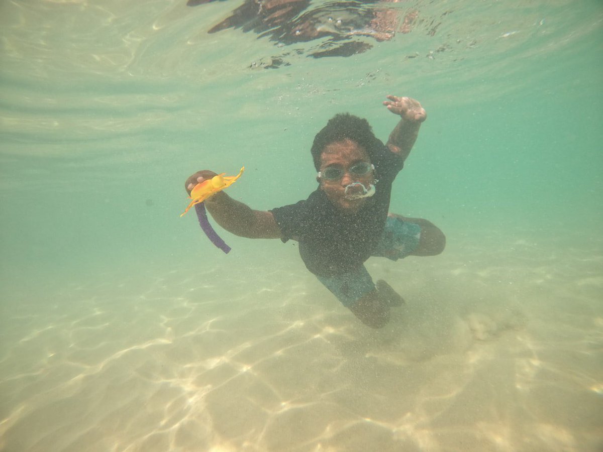 islandboyalman's tweet photo. One upon a time #stingray and a #turtles came to #islandboyalman .. and the story continues… #saveme #savemyislandnation #savemyworld #maldives #climatechange https://t.co/nN1weOC3ve