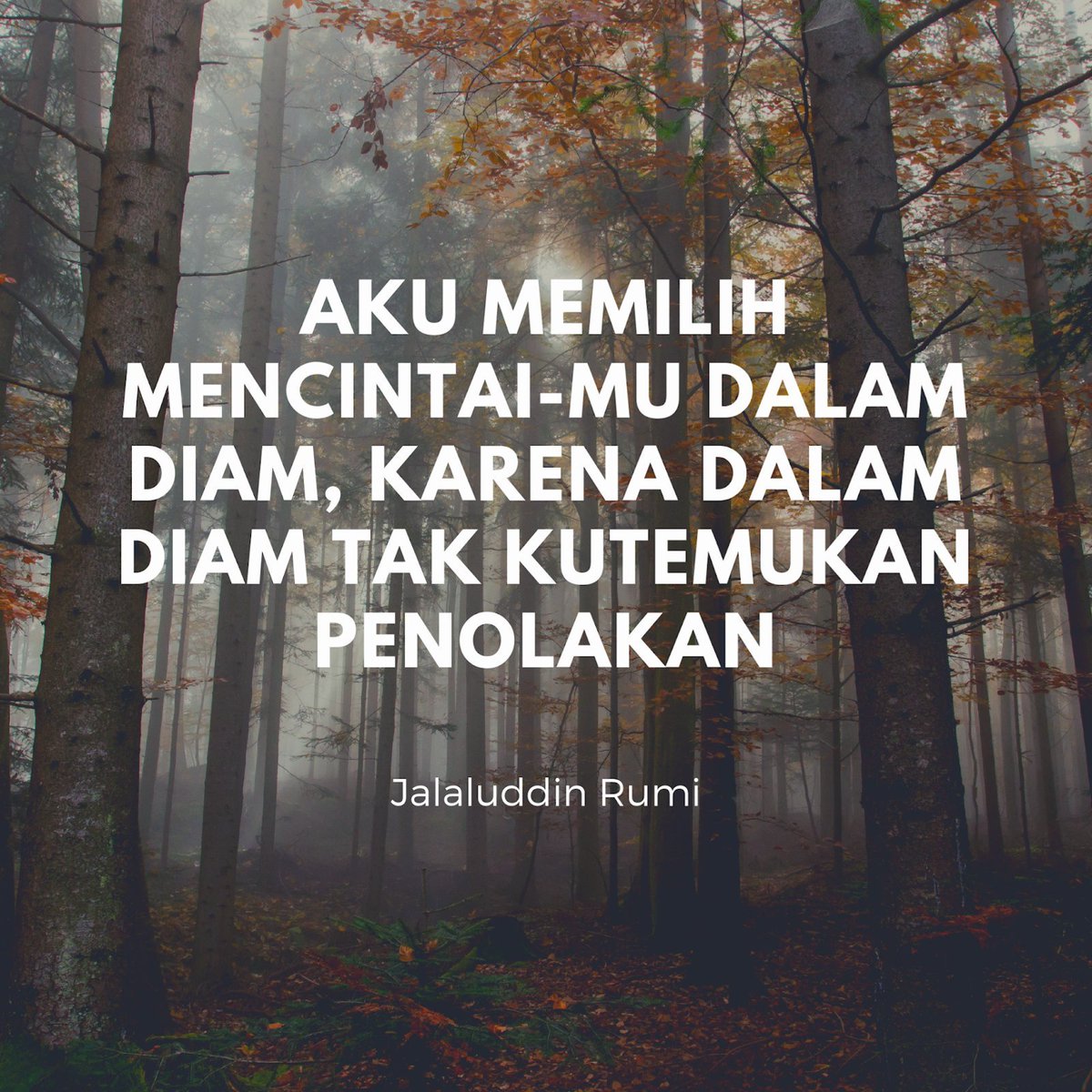 mohammad_toha_'s tweet photo. Bismillah ^_^ https://t.co/tk0aJqk3nM