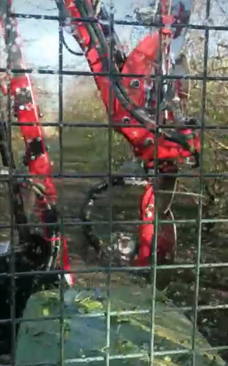 angelherrerasa3's tweet image. #Diversos proyectos científicos han conseguido cultivar con agua salada. Ante la escasez de los recursos hídricos para la agricultura, estas nuevas iniciativas apuntan a 1futuro prometedor. La agricultura con agua de mar promete ser una solución.1300millones de km3 de agua.