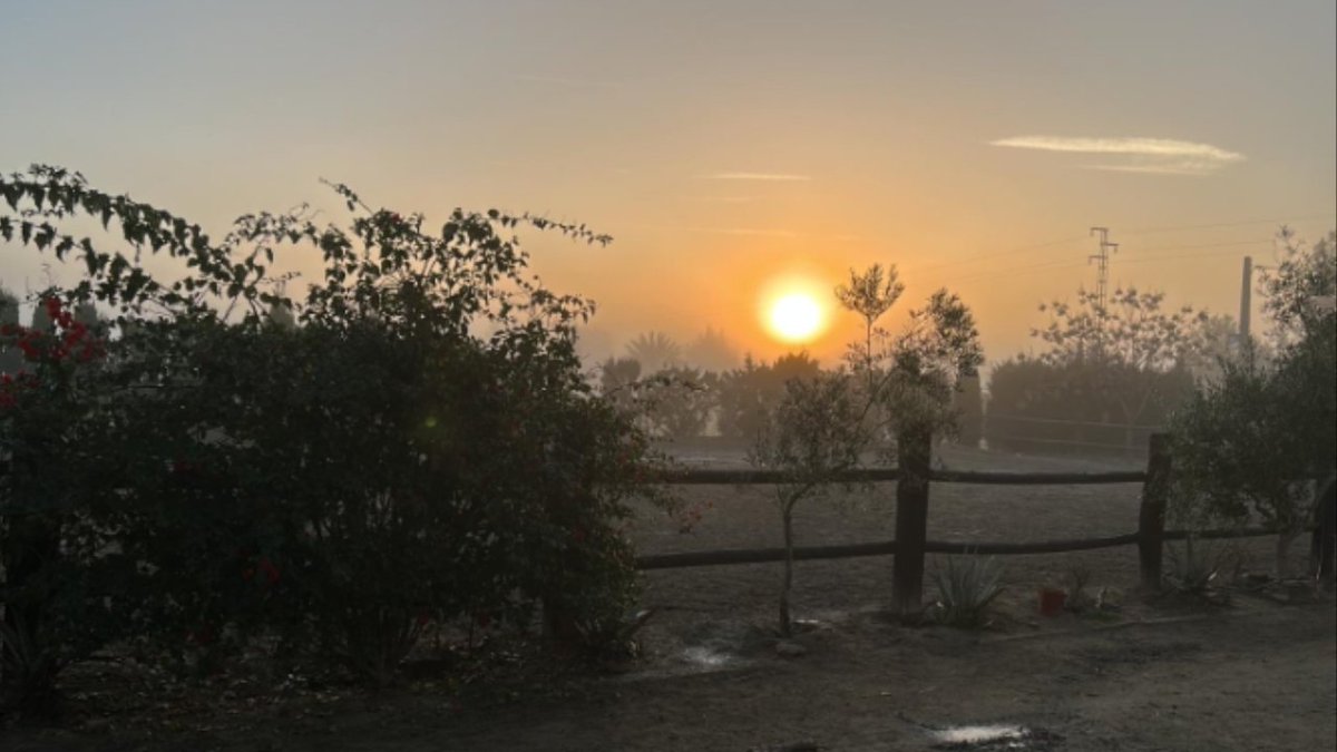 angelherrerasa3's tweet image. #Diversos proyectos científicos han conseguido cultivar con agua salada. Ante la escasez de los recursos hídricos para la agricultura, estas nuevas iniciativas apuntan a 1futuro prometedor. La agricultura con agua de mar promete ser una solución.1300millones de km3 de agua.