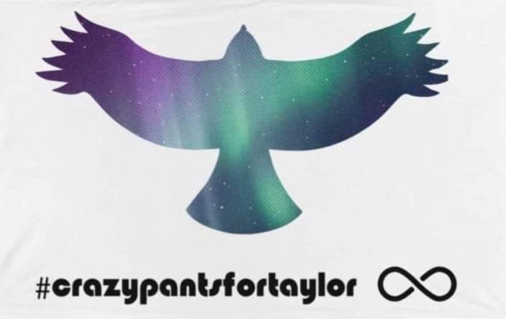 crazypantsfort1's tweet photo. Following a members critique, we increased the size of the Hawk on our flag.
No price increase, but the result is stunning.
https://t.co/6GdkIq9Anv
#charitymerch #musicsupport #taylorhawkins #auroramerchandise #linkabove #foofighters @foofighters @foofightersgb https://t.co/CcQZVnaS5y