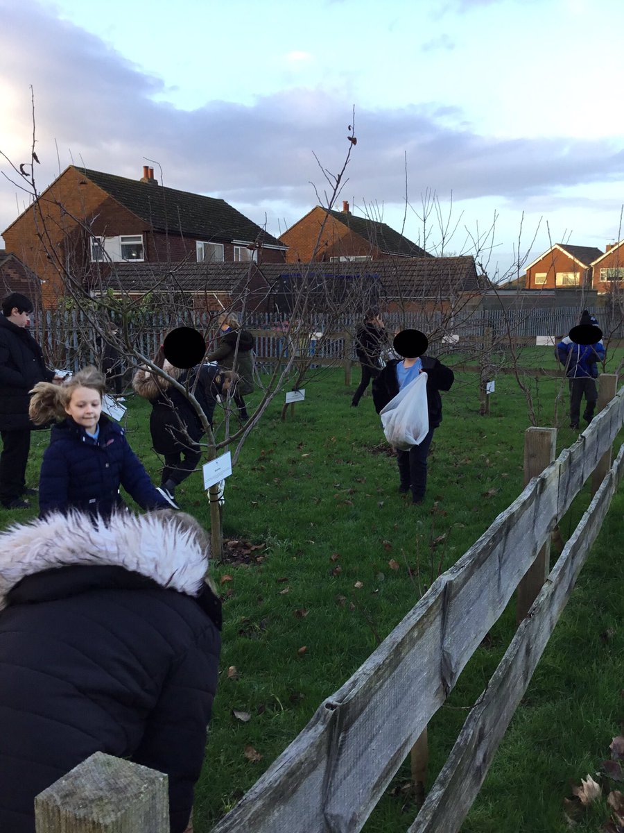 LeysFarm's tweet photo. This week, Enrichment Club focused on the benefits of being outdoors on mental health and well-being. We went on a nature walk and used what we found to create animal collages. #LFJSEnrichmentclub #LFJSPSHE #LFJSArt https://t.co/8FxPvfFW9z