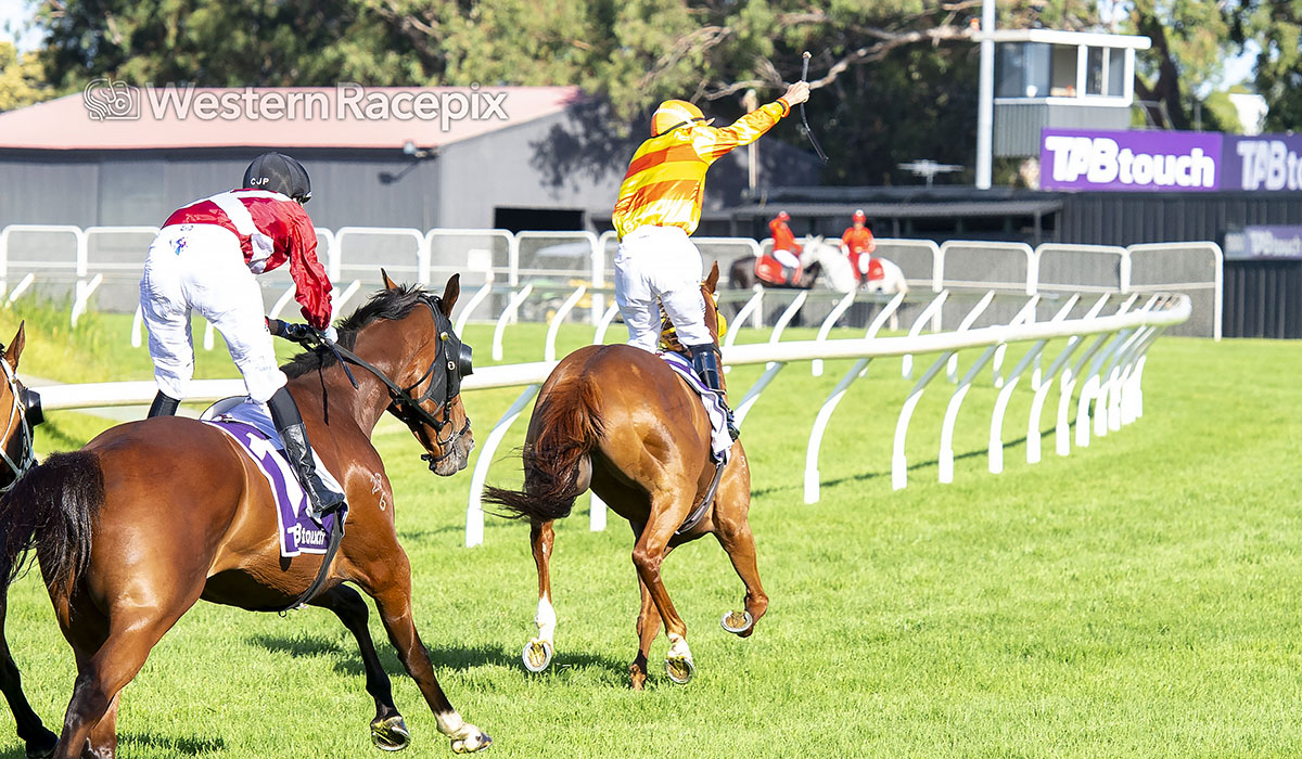 Western Racepix tweet media