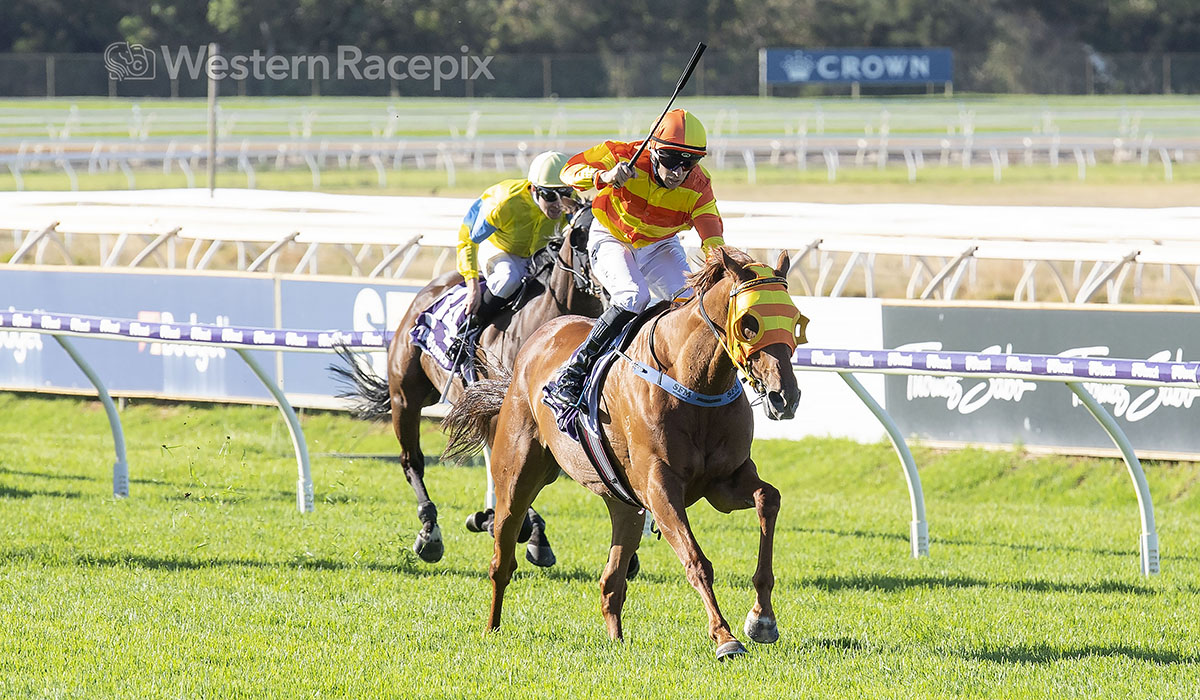 Western Racepix tweet media