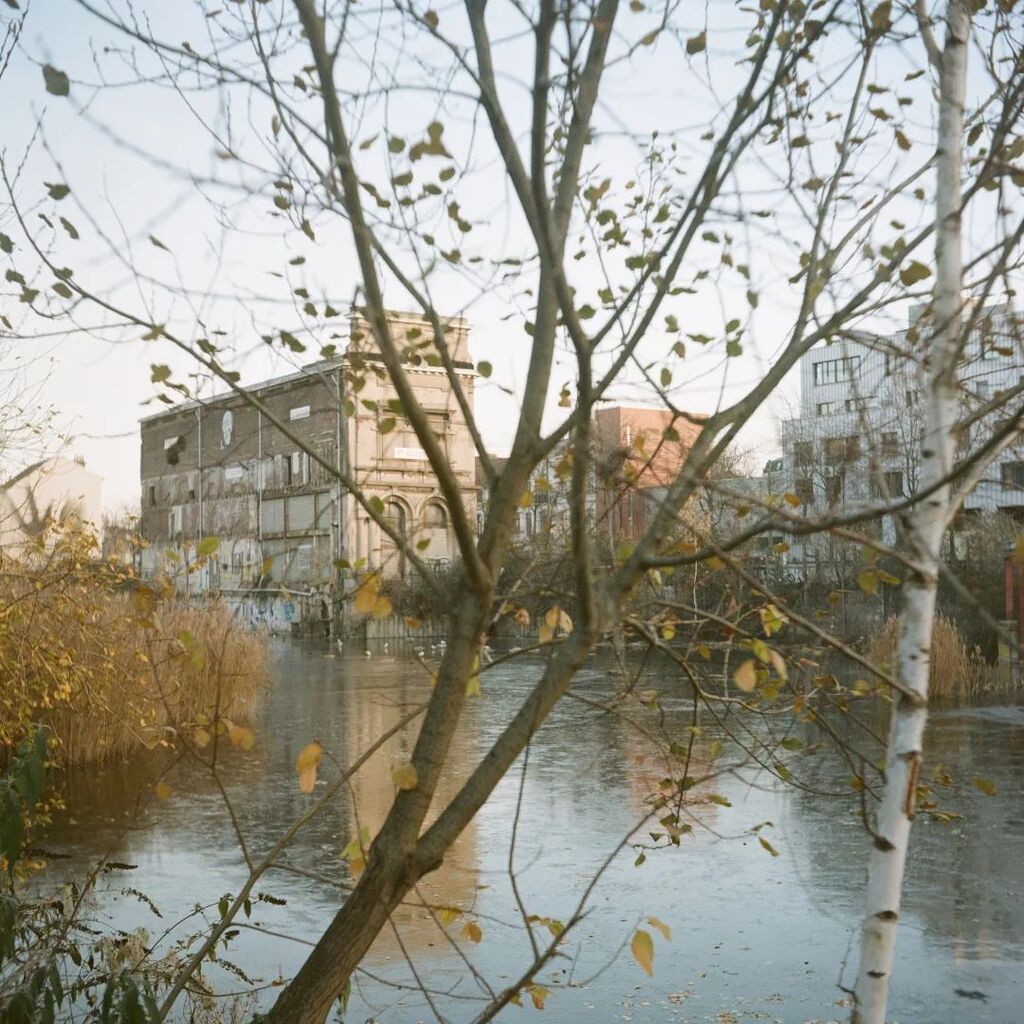 Le marais #wiels #1190be #kodakportra400 #yashicad #tlr #expiredfilm #film120 #6x6 #filmphotography #argentique #filmisnotdead #analogphotography #filmcamera #ishootfilm #filmcommunity #nofilter