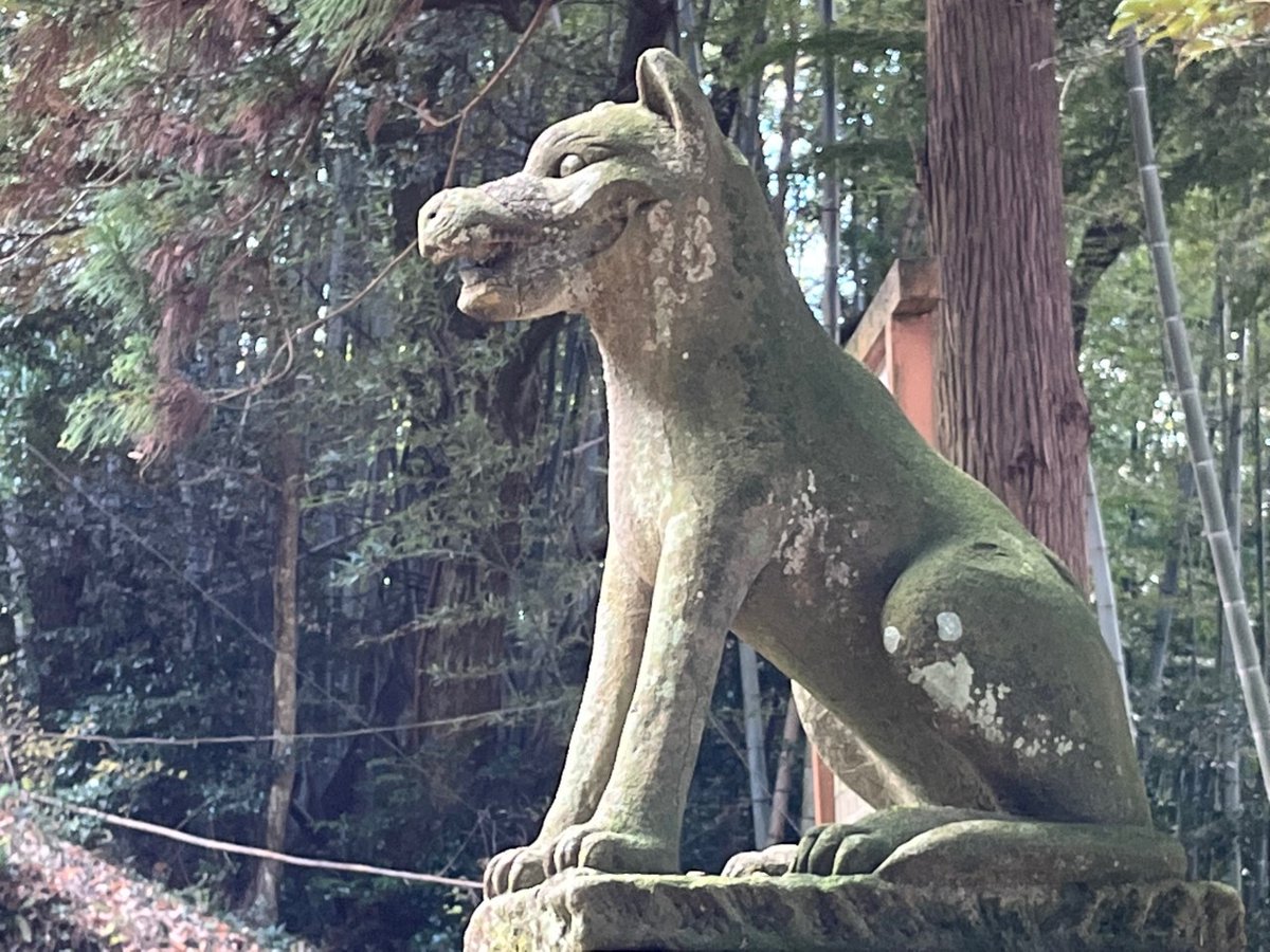 杜すいとん 行きたいところばっかし on Twitter