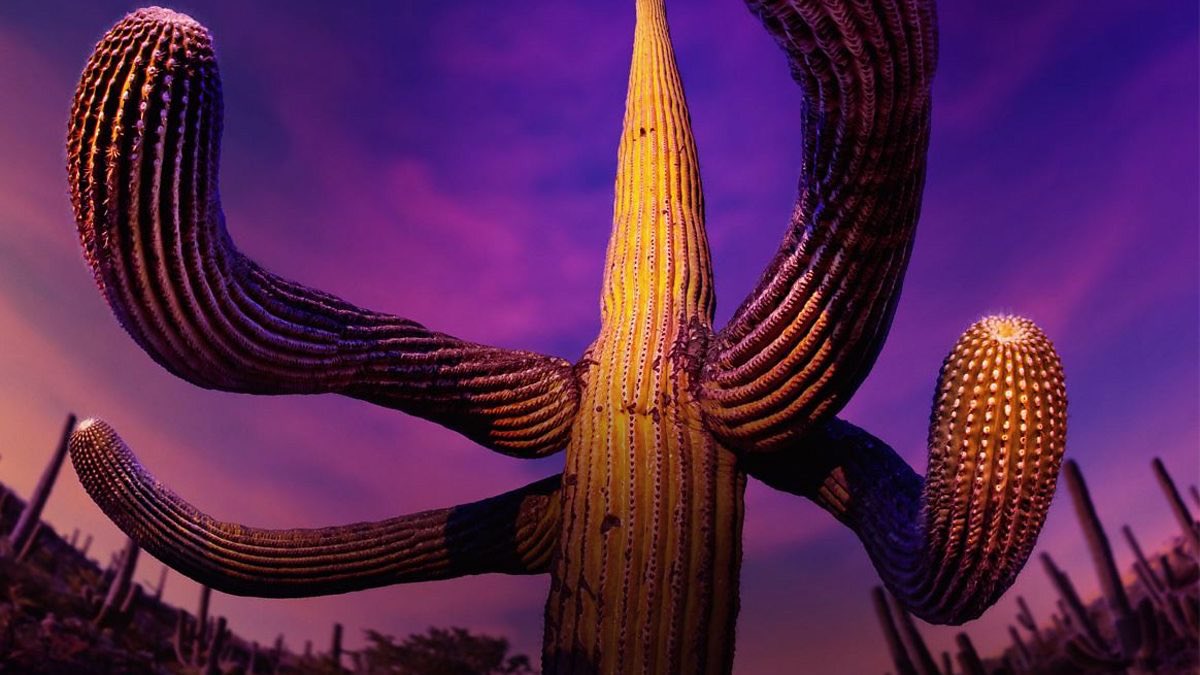 MSamirdesign's tweet photo. They breathe, communicate, eat, provide food, adapt, partner, host, store, swindle, fight, swim, walk, and even fly.

I learned so many things about plants from the @BBC’s Green Planet series. An absolute beauty that I can’t recommend it enough.

#nature #greenplanet #plants https://t.co/liOhfiWGSg