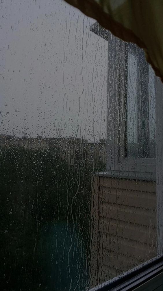 AssumeranWriter's tweet image. Gloomy weather but still finding peace in this kind of weather. Have a cup of tea while checking my earnings in FXPro does feel soo good