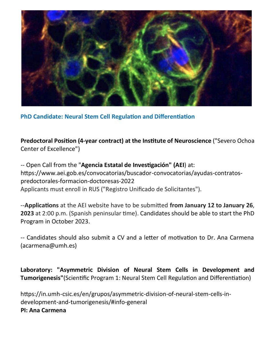 📢 Job offer at <a href="/NeuroAlc/">Instituto de Neurociencias UMH-CSIC</a> #Jobs_IN‼️
Link: in.umh-csic.es/es/ofertas/phd…