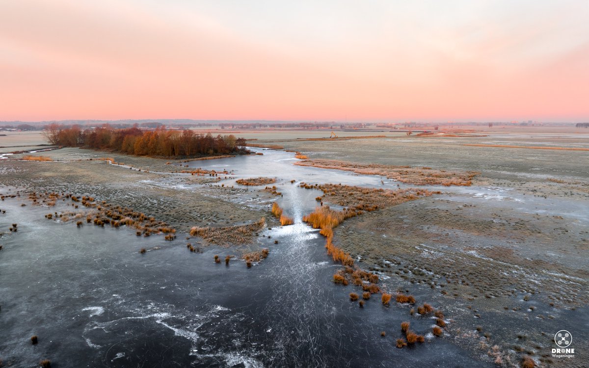 Binnenveldse Hooilanden on ice❄️ btw got some sale items in store! Birthday calendar -15% check it here: dronewageningen.nl/product/wageni… #binnenveld #hooilanden #wageningen #birthdaycalendar