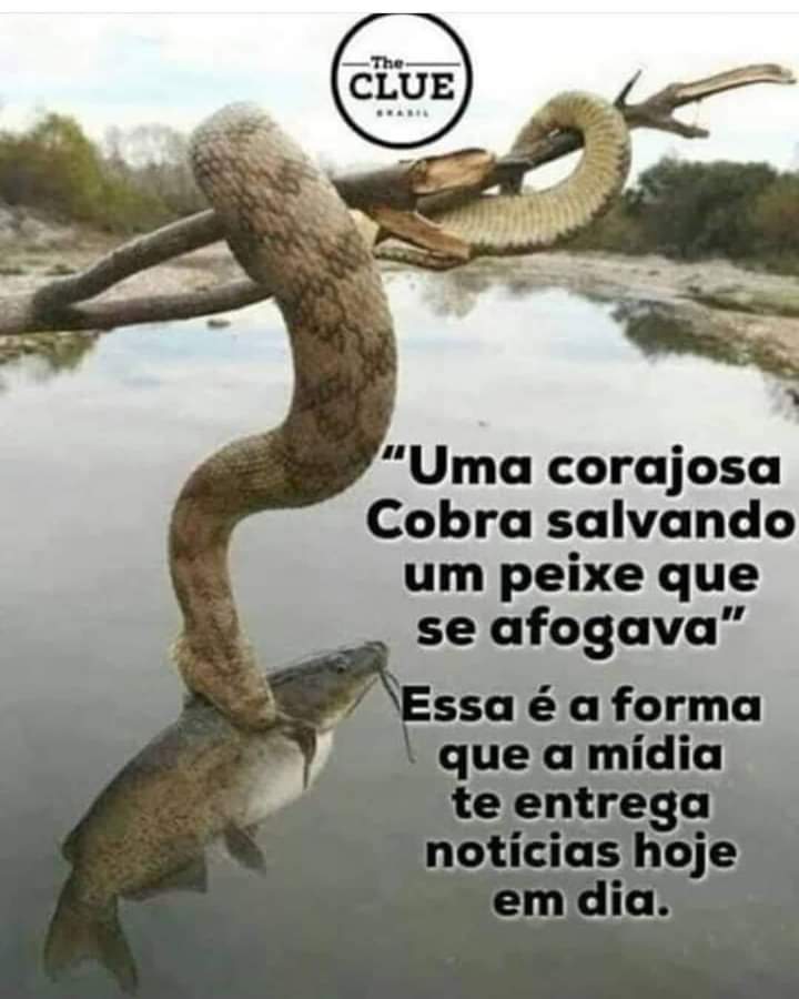 BosqueFilho's tweet photo. https://t.co/zBnGrBfMjJ