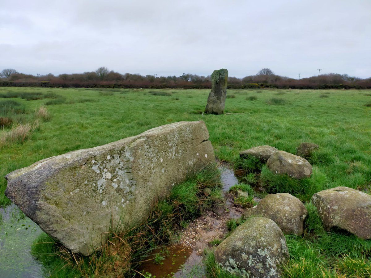 Morning stroll #crousacommon
#standingstones #Kernow 
#lovecornwall #Wellbeing