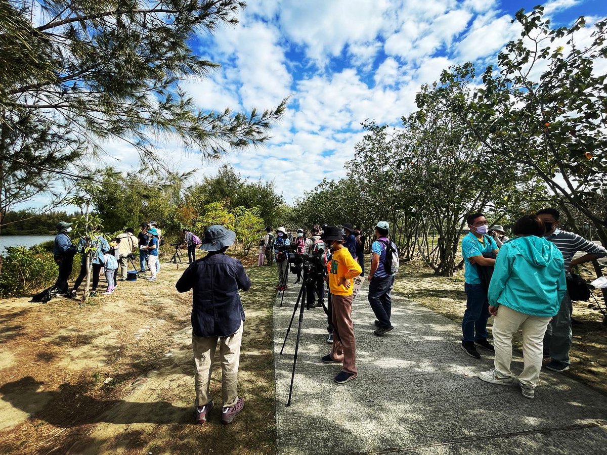 drongo111's tweet photo. 布袋濕地公園賞鳥推廣活動
今天貴賓雲集
#雲嘉南濱海國家風景區 處長陳煜川
#嘉義縣政府農業處 處長許彰敏
#布袋鎮長 蔡瑋傑
#義竹鄉長 黃政傑
#黃金茂縣議員

一起歡迎全國各地民眾前來布袋走春、賞鳥、吃海產、採購年貨

來自美國、嘉義縣市、台南高雄等地

四十位親子家庭共同欣賞世界級的濕地生態 https://t.co/5j5398vvxe