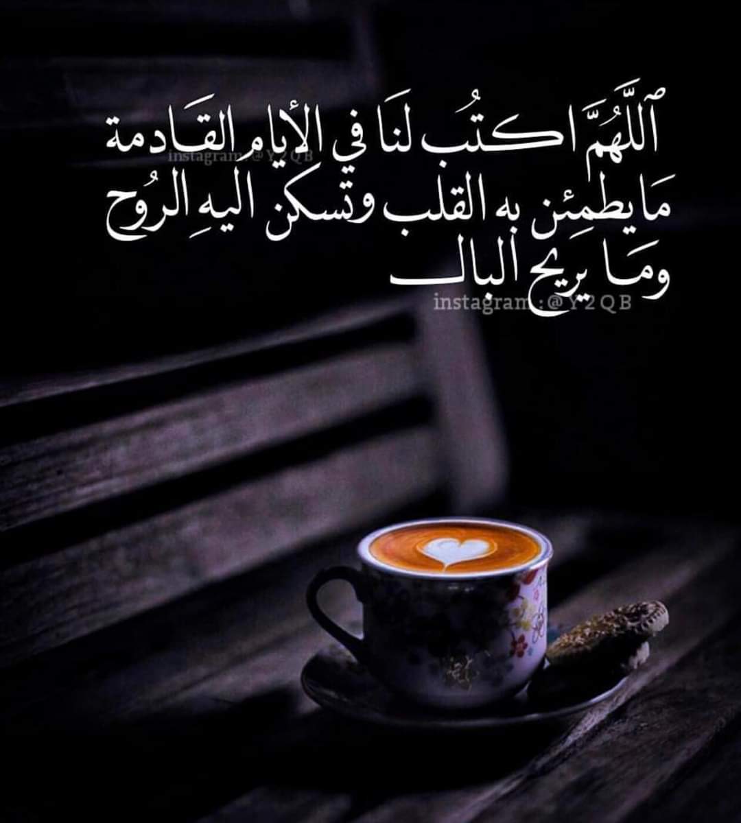 مريانا الخطيب tweet media