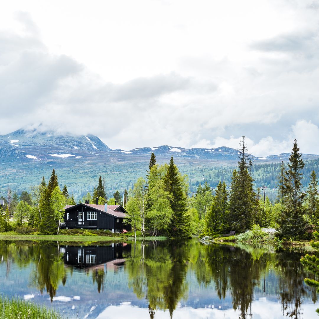 Scandinavia is a destination that has something to offer everyone.  Home to some of Europe’s most unforgettable sights &amp; experiences. Gorgeous fjords &amp; glaciers, crisp air, fairy tale castles, Viking treasures &amp; the majestic Northern Lights. 

Explore by rail &amp; ask me how!