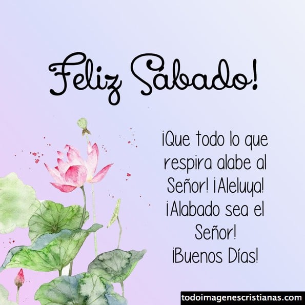 Coromoto_Uma's tweet photo. Buenos días ☀️
Jesús palabra Divina enviame tu Santo Espíritu, y renuevame con tu poder,
Ven Espíritu Santo, abre mi corazón a tu gracia y llename de ti, saname, liberame, protegeme, capacitame, bendice mi servicio con amor y alegría. #DiosDeVictoria #FelizSabado #Paz 🌷🙏 https://t.co/ltxJnyD615