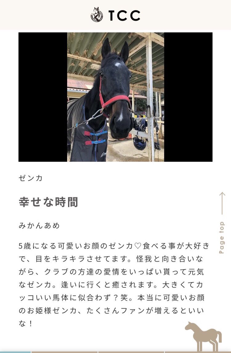 #TCCホースフォトコン2022
#ゼンカ ベストショット賞
おめでとうございます🎉✨
グッズ完成まで楽しみにお待ちください🥰🐴
https://t.co/ageDs1H4ki