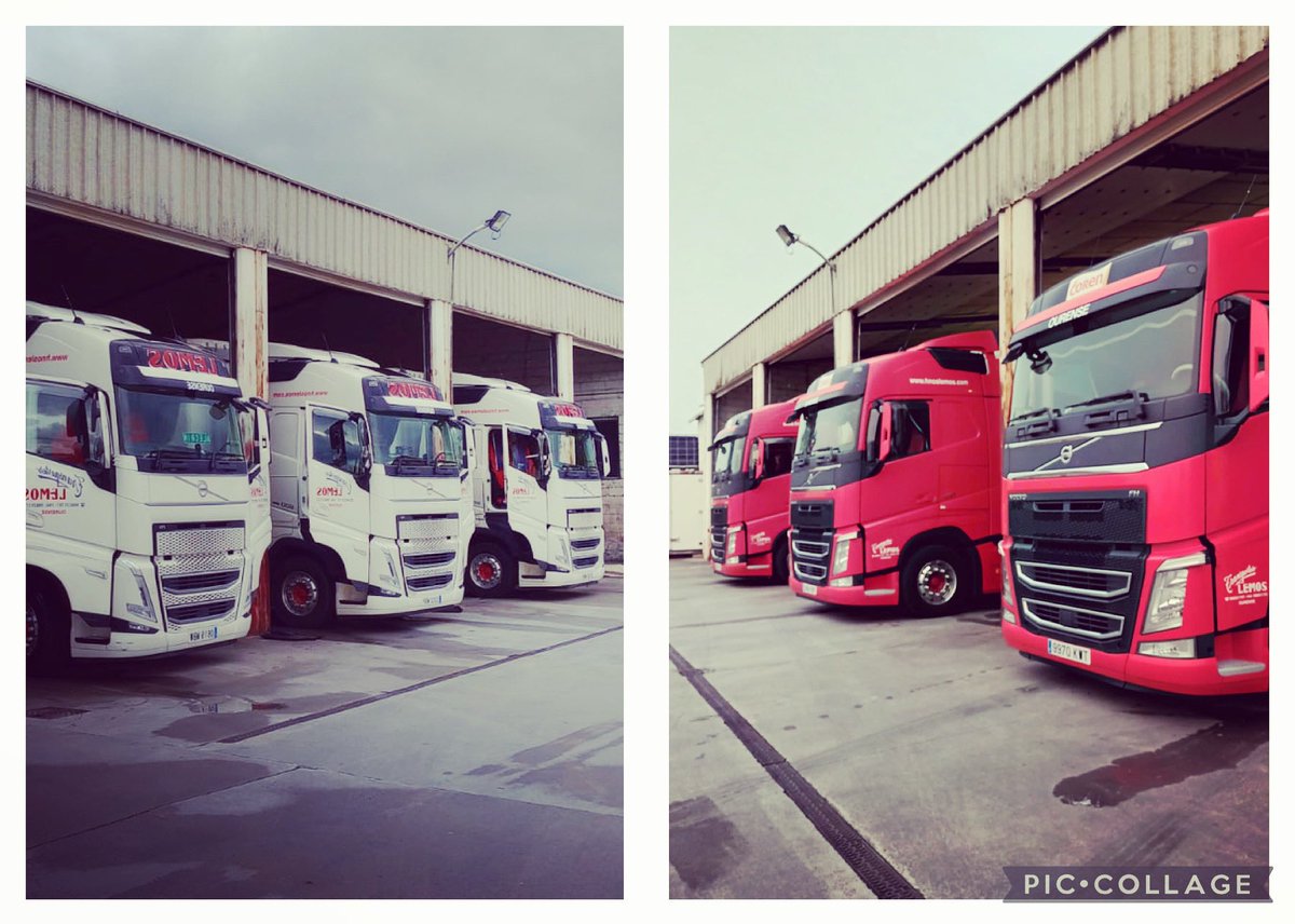 tteshnoslemos's tweet photo. Distinta piel, mismo equipo!!! ⚪️🔴

#hnoslemos #lemos #tteslemos #camion #ourense #volvo #volvotrucks #trucker #camionesespañoles #transportistas #transportistasespañoles #volvofh #fh500 #isave https://t.co/GAzoJNjpyy