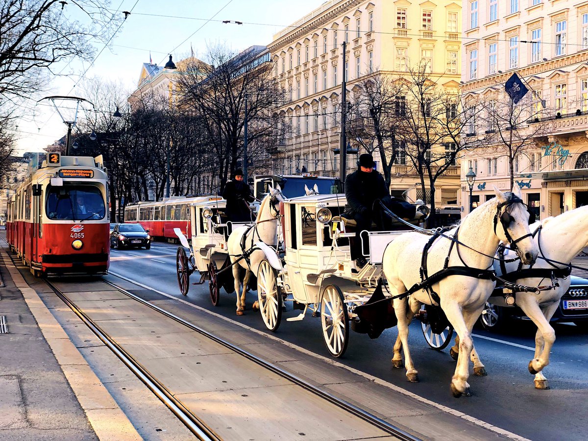 BenSostenuto's tweet photo. Good afternoon from Vienna 🎶
Heavy traffic on the Ringstraße today 🙂
#OldVienna #FirstDistrict #Ringstraße #JanuaryInVienna #VPO https://t.co/4Ux6DdJn4Q