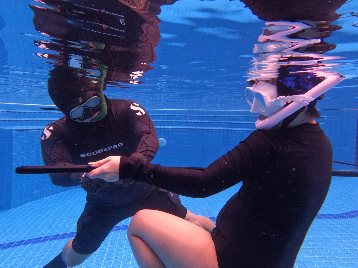 sea_mastermind's tweet photo. Intro to #Spearfishing class by #SeaMastermind Today we introduce a basic training for #polespear https://t.co/aAlLF5aDGl