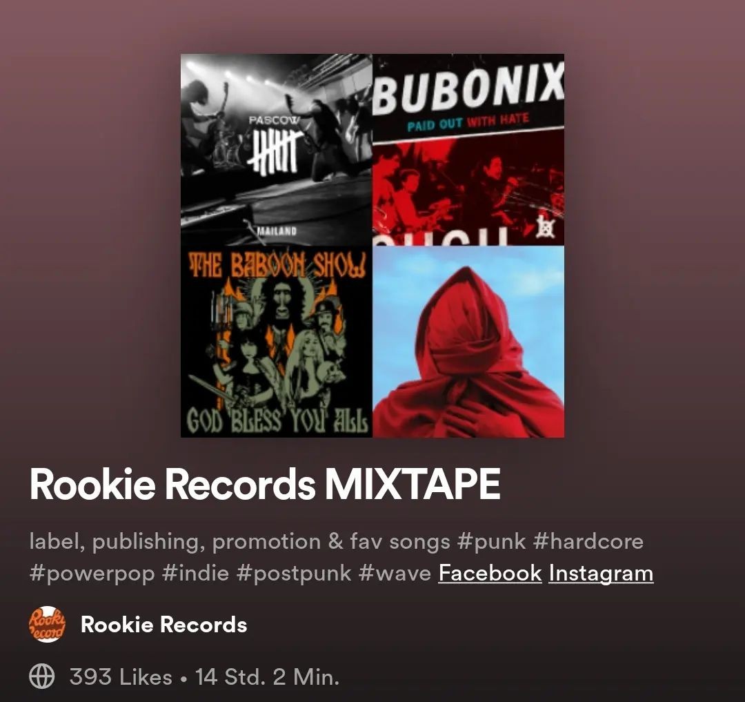 RookieRecords's tweet photo. Neu im #rookiemixtape @pascow #notscientists #thebaboonshow @schrottgrenze_ @gemmaraymusic ... https://t.co/FFPS61vE6P