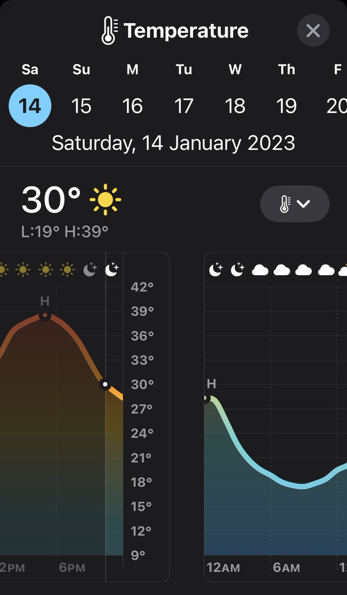 Shane Morris tweet media
