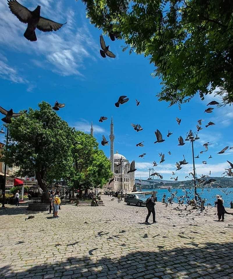 اماكن  بكل منطقة تروحون لها في اسطنبول👇🇹🇷:

🔵إذا كنتم في سيركجي :
_حلويات حافظ مصطفی
_السوق المصري
_...