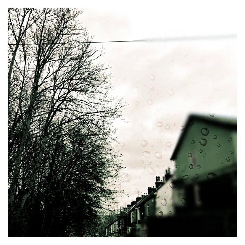 WritingEndOfDay's tweet photo. The soaked wood wavers…

New words continue at: https://t.co/con7CnGvOn

#soakedwood #strongroots #haikupoetry #dailypoetry #writingattheendoftheday #words #poetry #poem #poemsdaily #poems #poemoftheday #writinginspiration #writing https://t.co/il0Z3PLDFy