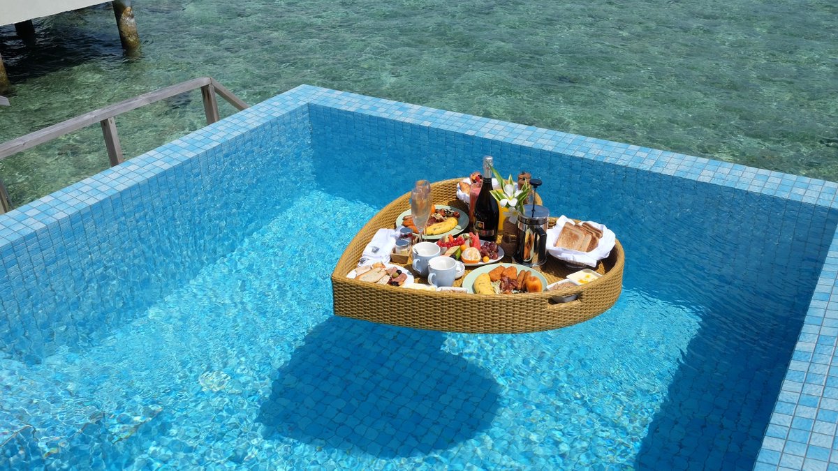 Begin your day <a href="/VelassaruM/">Velassaru Maldives</a> on a positive note with a breakfast like no other. All you have to do is slip into your swimwear to enjoy your floating breakfast in a setting overlooking the breathtaking beauty of the ocean waters 

velassaru.com/uploads/experi…
#smallluxuryhotels
#luxury