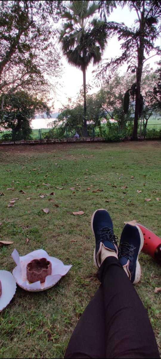 Meetali Barhate tweet media