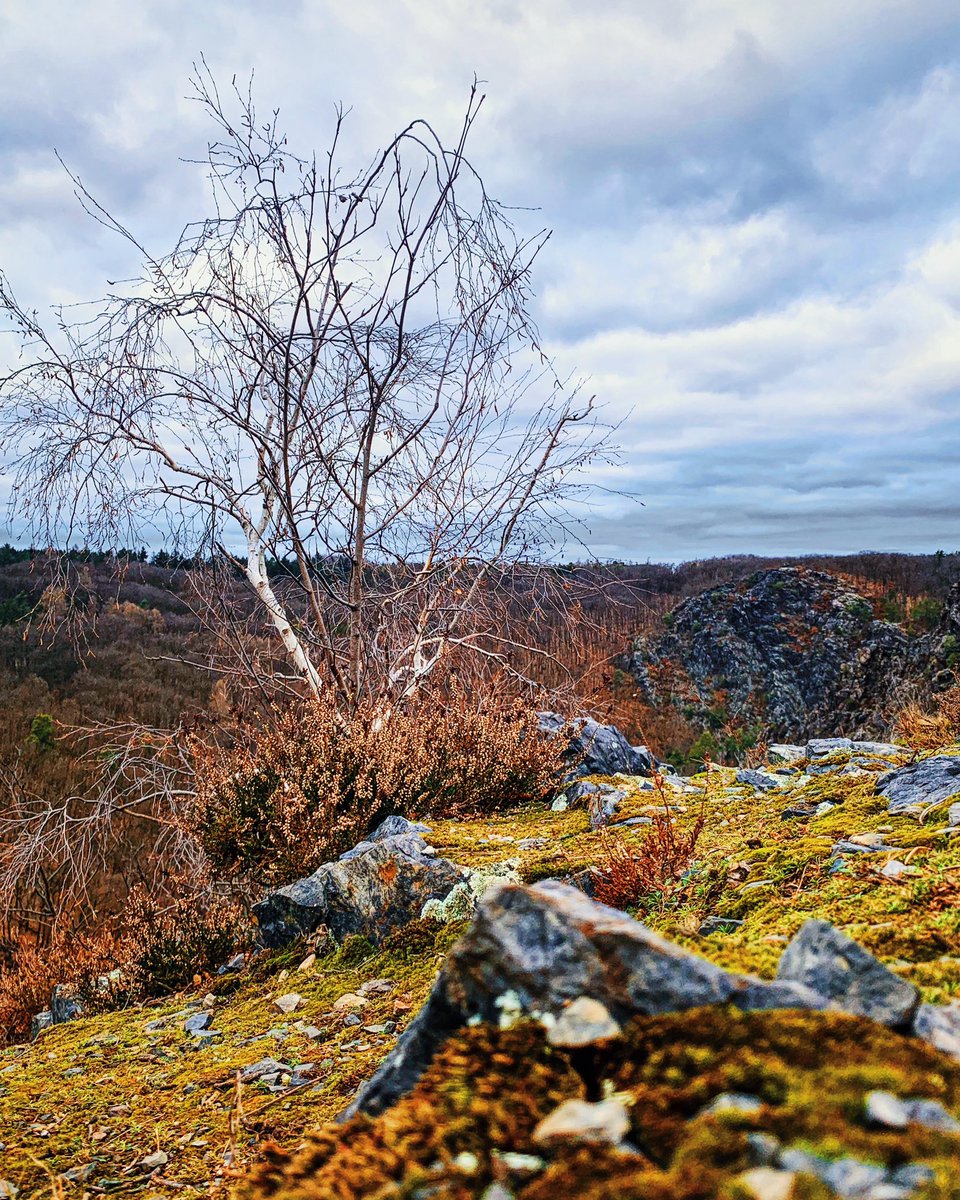 numicor's tweet image. Somewhere in the area of Prague