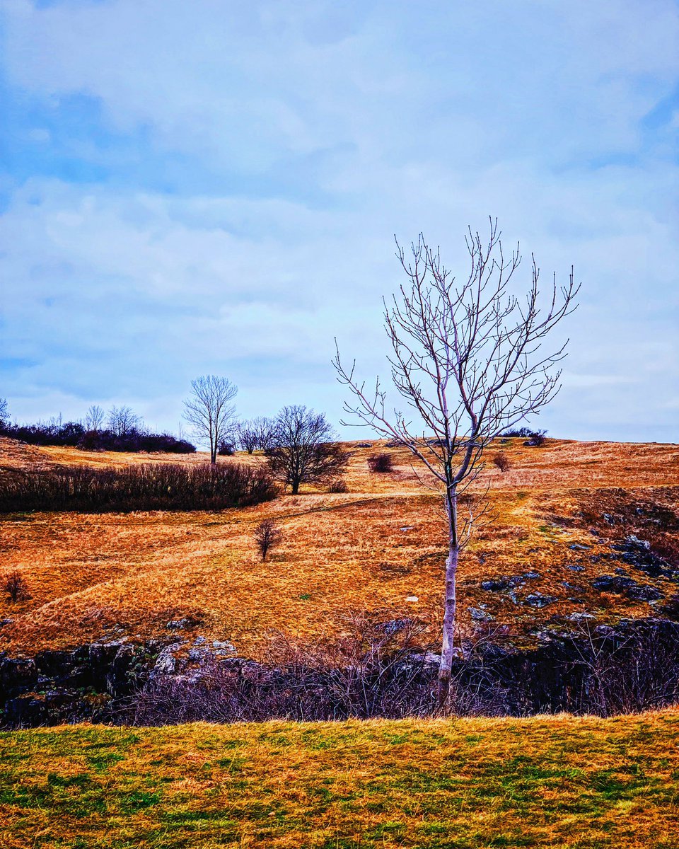 numicor's tweet image. Somewhere in the area of Prague