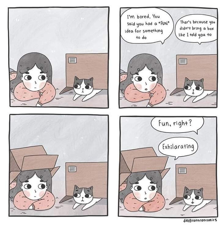 happypetsnyc's tweet photo. I have the only kitty I know who has no interest in boxes. This is the conversation I keep trying to have with him lol

Need a #dogwalker or #petsitter? Contact us today! https://t.co/5iYJ6Lrk4O

#caturdaycuties #caturday #cat #toocute #adoptdontshop #happypetsnyc #queens #nyc https://t.co/LxSXPIdzby