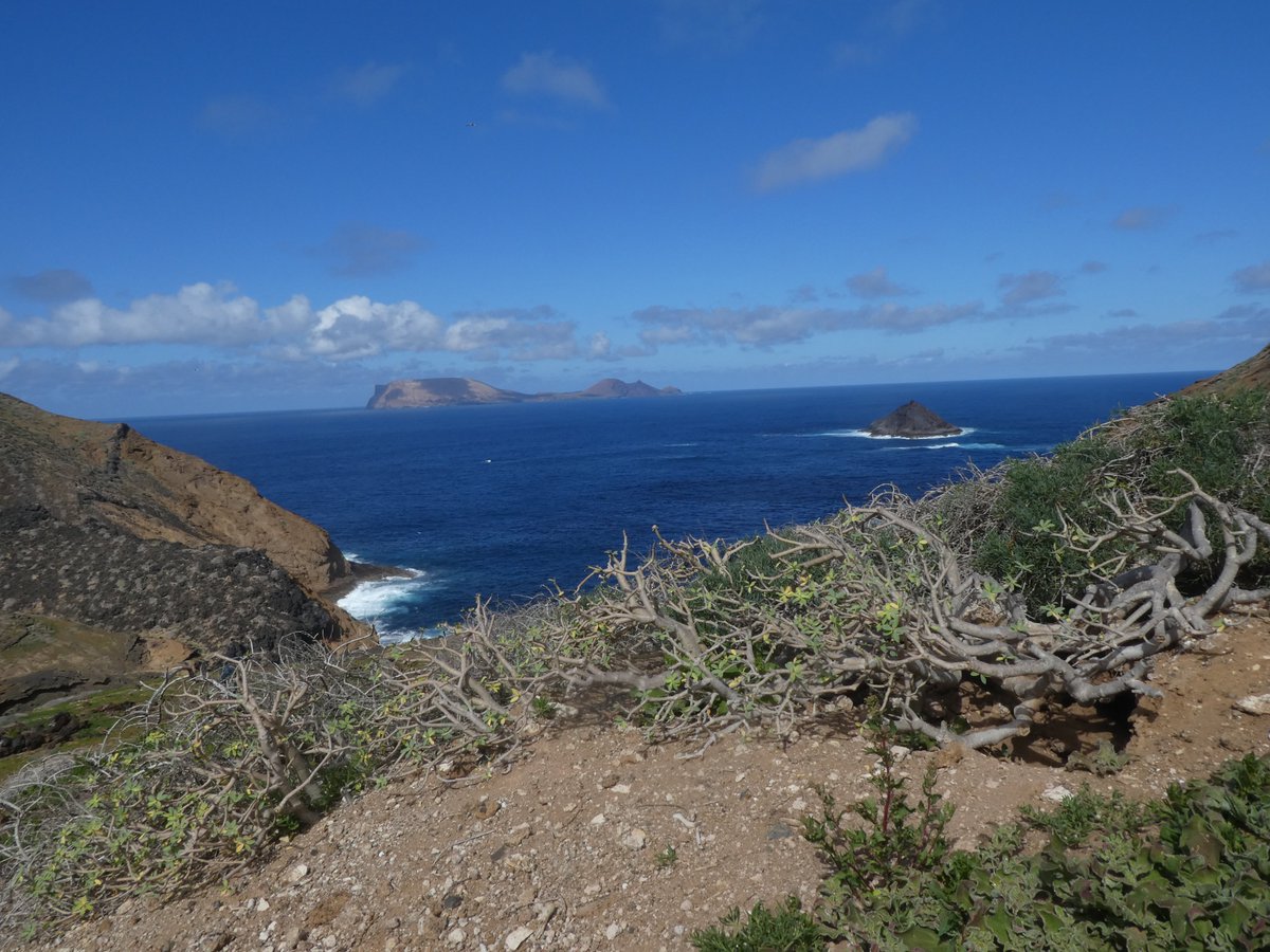 I am offering several ERC AdG-funded open positions (1PhD and 3 Postdocs) in my lab (travesetlab.com) at IMEDEA (imedea.uib-csic.es/en). 
See adverts here: 
euraxess.ec.europa.eu/jobs/52824
euraxess.ec.europa.eu/jobs/52818