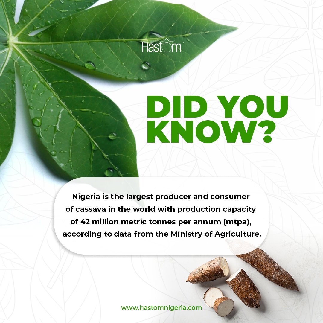 The possibilities with Cassava are exciting ones. With by-products that make for a profitable and seamless foreign exchange. 

Ready to know more about how to get started? Send us a DM
#farm #cassava #happyholidays #cassavafarm #cassavaproduction #cassavaprocessing #farmland