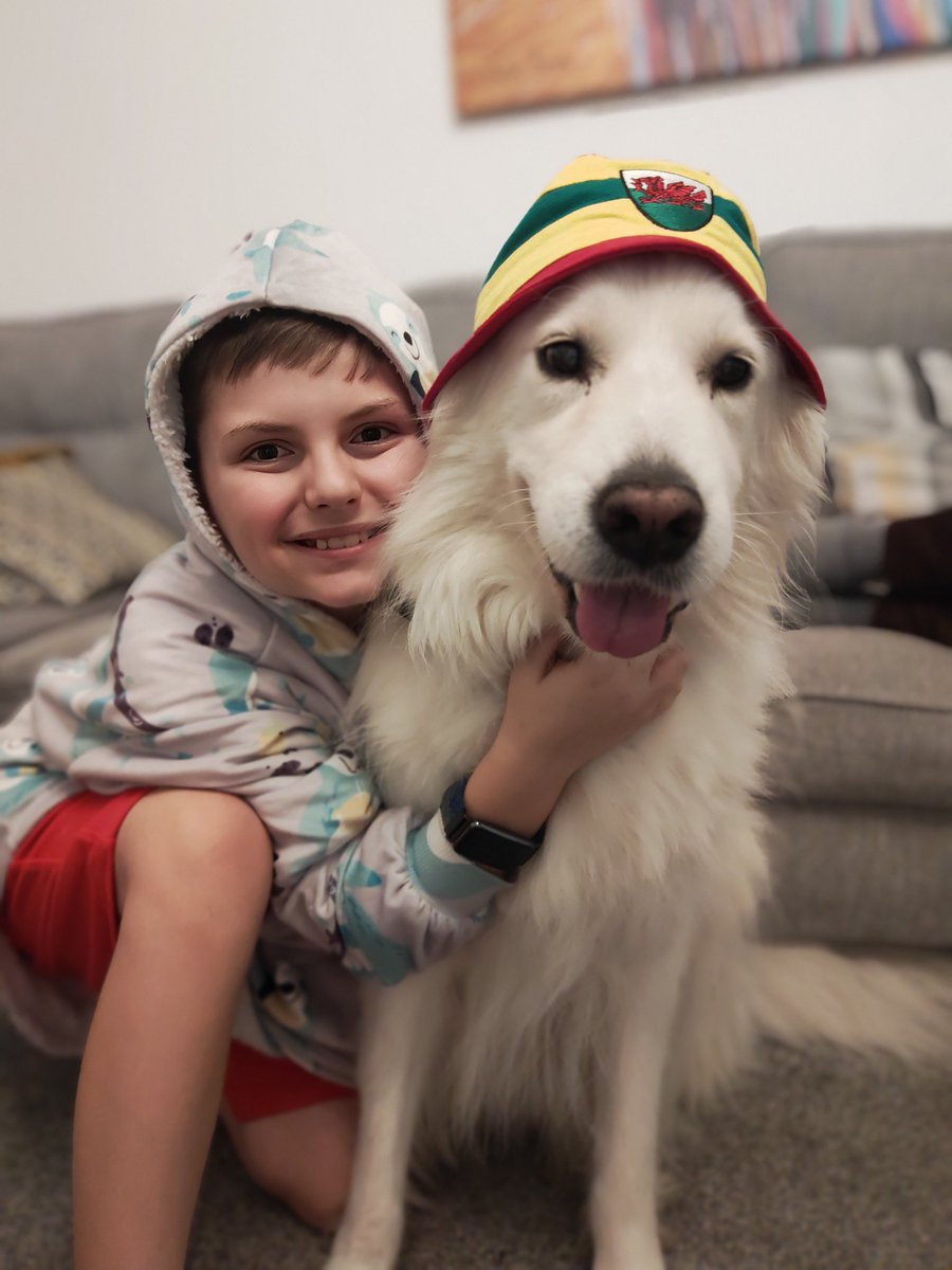 vickygibbs75's tweet photo. @AldiUK Barclay and his bro 🥰🥰 https://t.co/utWgfcmEp9