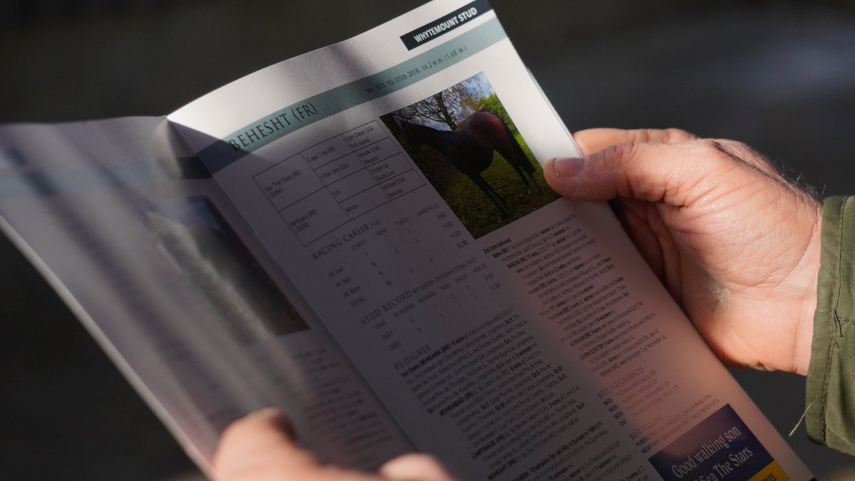 Day 2 of the #IrishStallionTrail is on. @IREthoroughbred