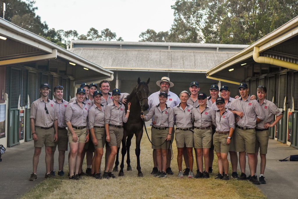 For the 2nd year in a row…Newgate finish the <a href="/mmsnippets/">Magic Millions</a> Gold Coast Yearling Sale as LEADING VENDOR‼️

5️⃣4️⃣ = Offered
5️⃣4️⃣ = Sold
1️⃣7️⃣, 2️⃣2️⃣5️⃣,0️⃣0️⃣0️⃣ = Gross
3️⃣1️⃣8️⃣,9️⃣8️⃣1️⃣ = Average

A huge thank you to all our clients, purchasers and team who made this possible 💫

#ItsPossible