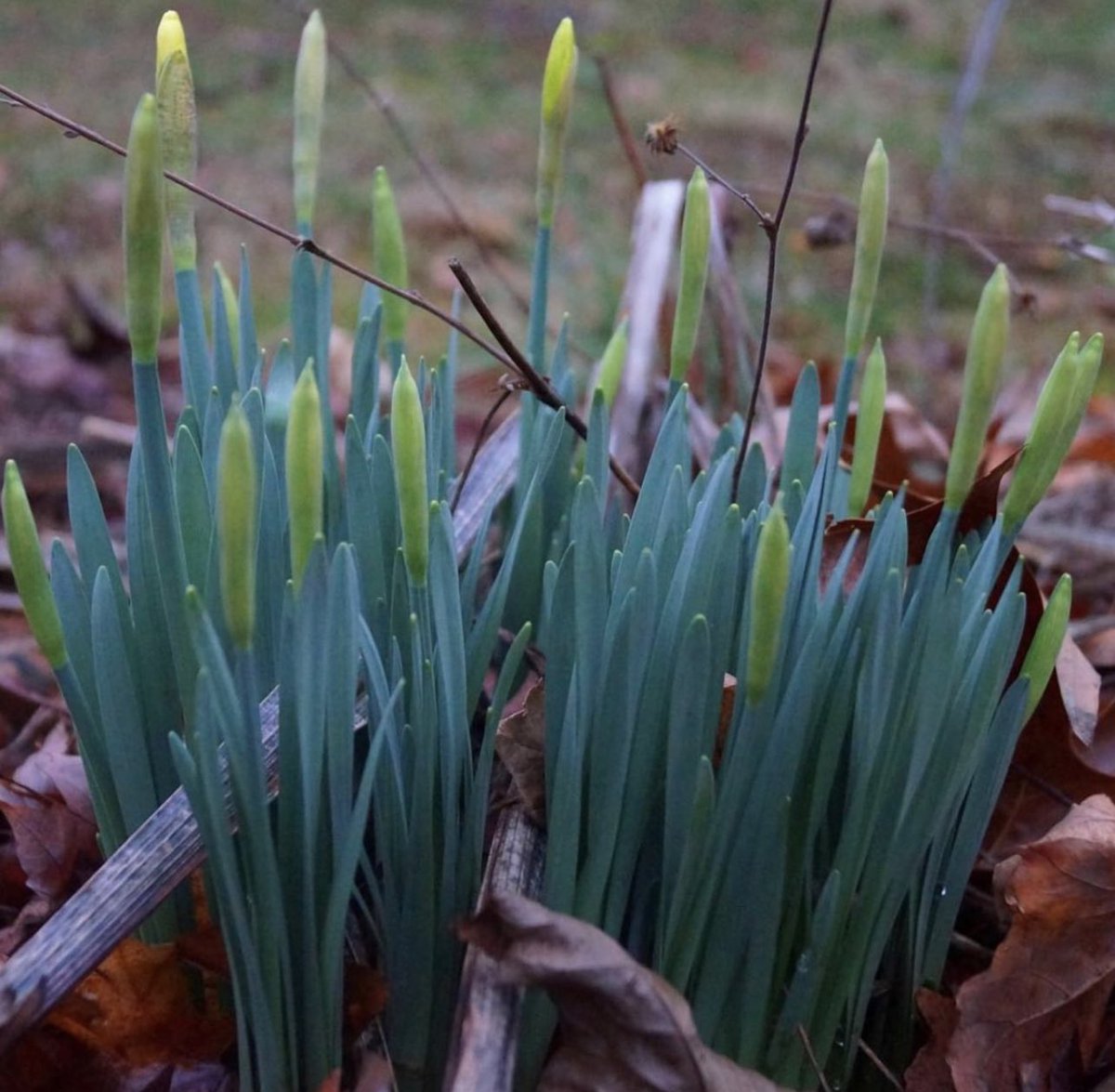 nowprayingnash's tweet image. May we never fall out of #love with #God or with #oneanother 
Mark 12:30-31
#Falling out of love is the greatest #fall of all

#love #loveGod #lovethyneighbor #lovethyneighborasthyself #saturdaymorning #weekend ❤️