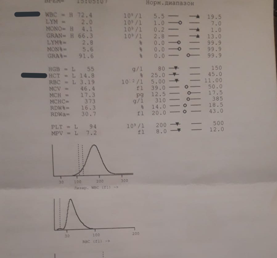 стрᴀнныᴇ кᴀᴘтины tweet media