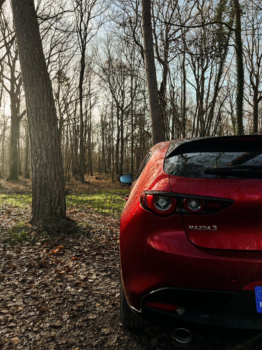 erwanrd_'s tweet photo. NEW 🚗 https://t.co/ItDV2k4h7y