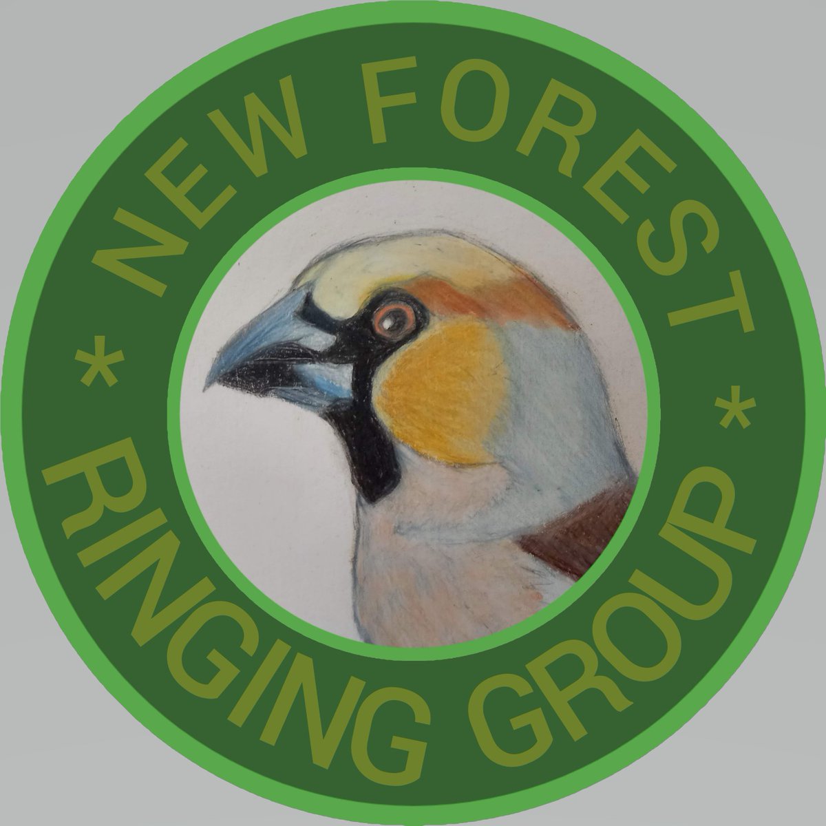 Thanks to one of our 12 year old trainees for our fab new NFRG logo!