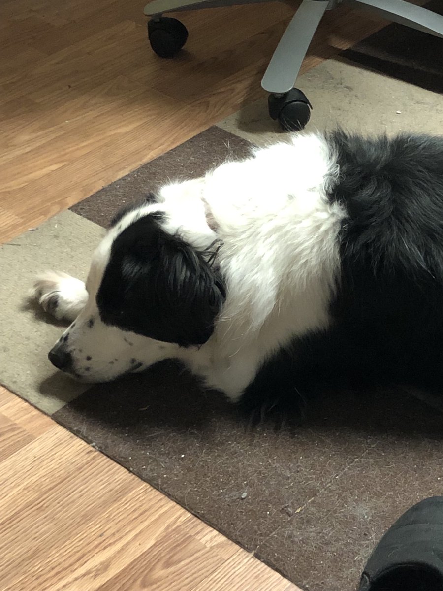It’s cold out this morning and Somebody decided they are sleeping in today. 😀. Good morning everyone!